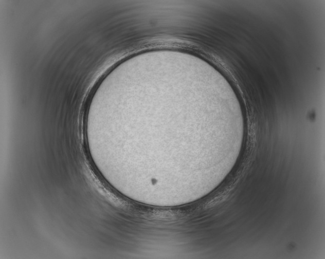 X0000116110843200912211631