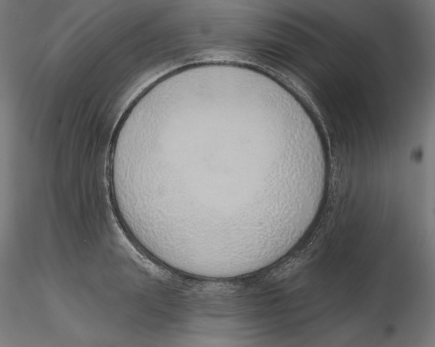 X0000116110847200912211631