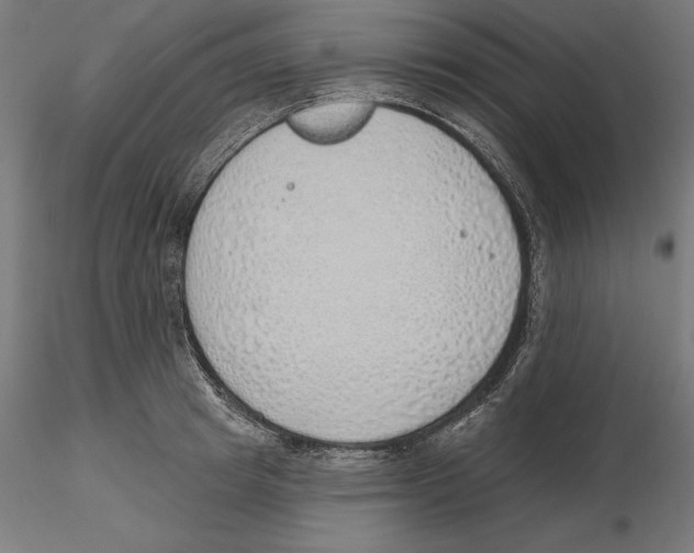 X0000116110849200912211631
