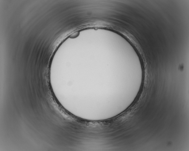 X0000116110850200912211631