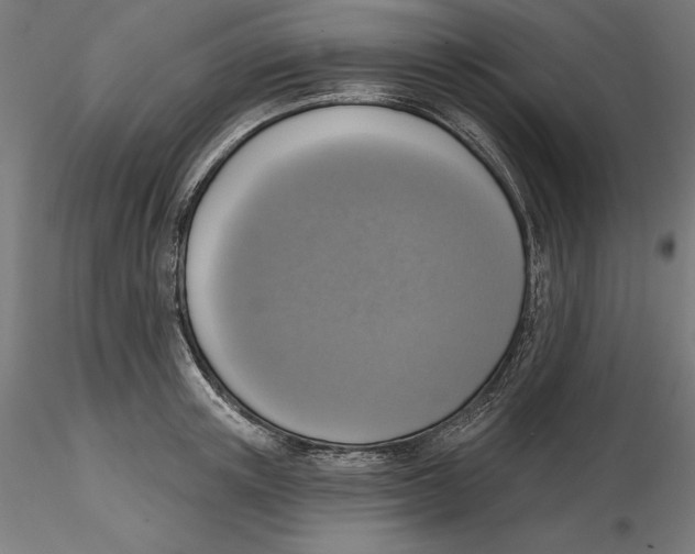 X0000116110851200912211631