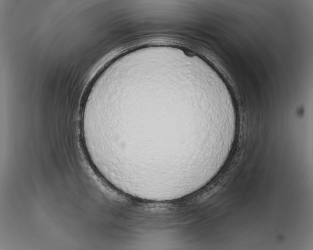 X0000116110853200912211631