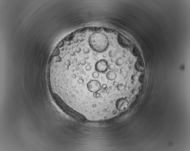 X0000116110855200912211631