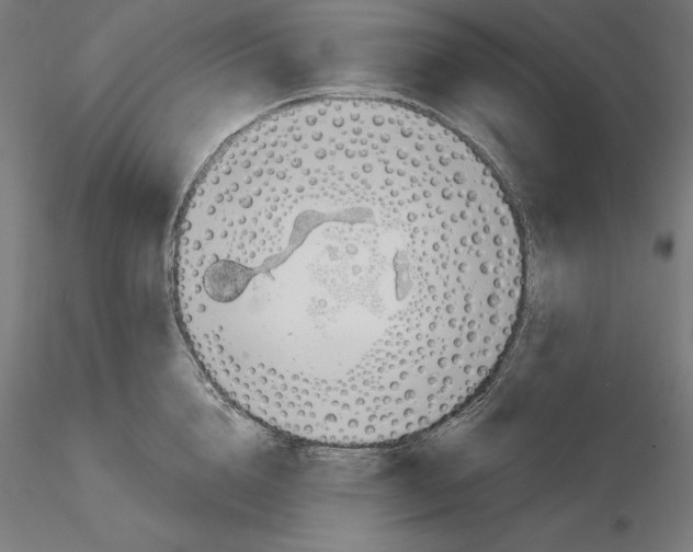 X0000116110856200912211631