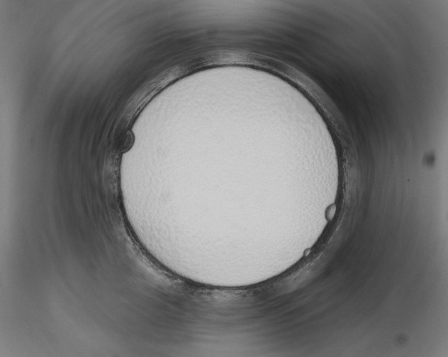 X0000116110857200912211631