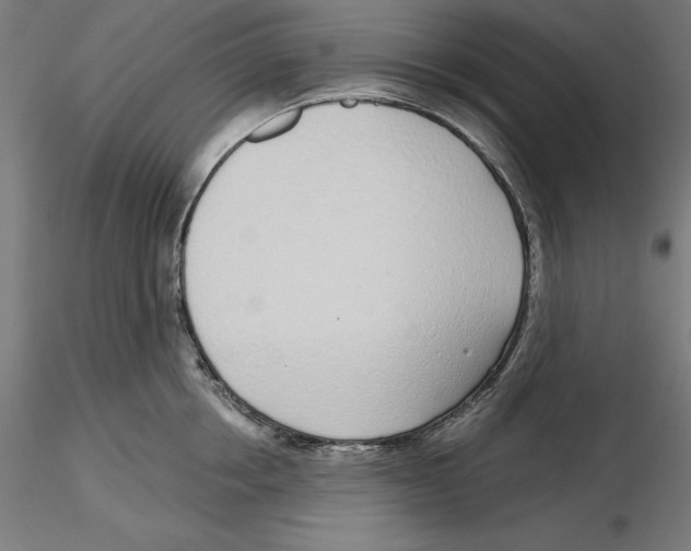 X0000116110858200912211631