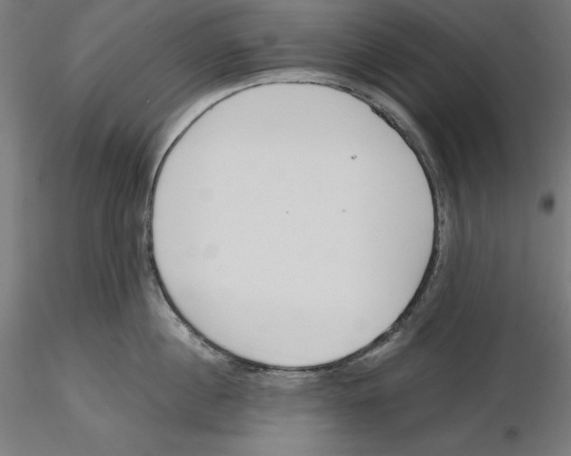X0000116110860200912211631