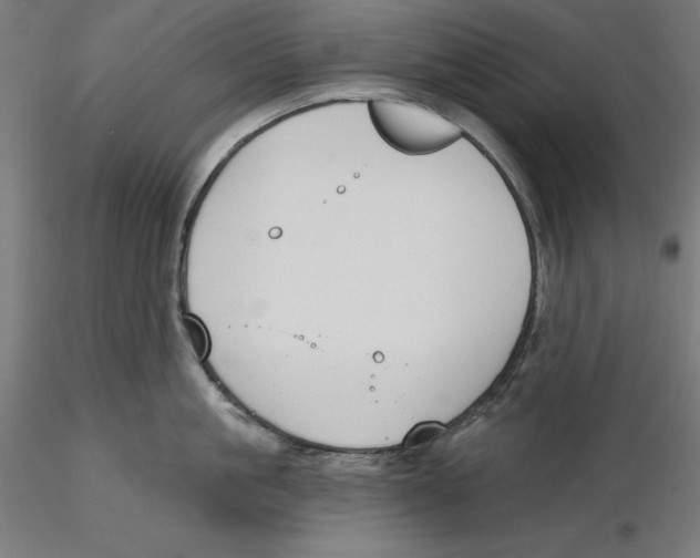 X0000116110861200912211631