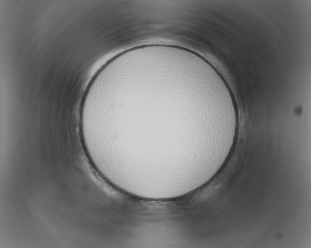 X0000116110862200912211631