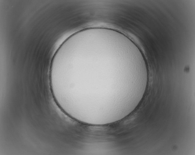 X0000116110863200912211631