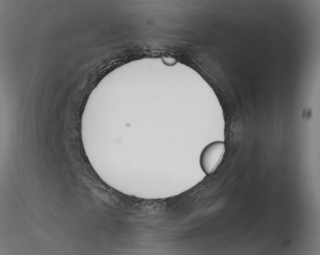 X0000116110865200912211630