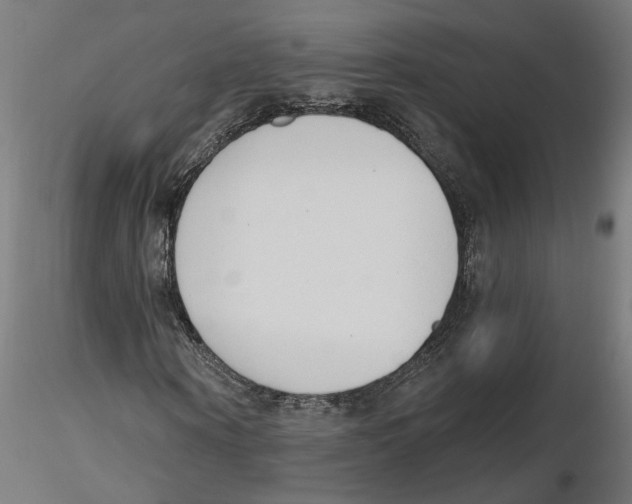 X0000116110866200912211630