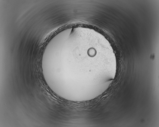 X0000116110872200912211630