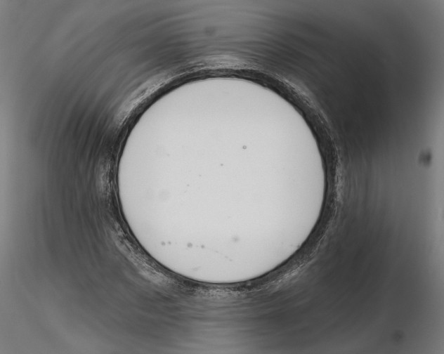 X0000116110873200912211630