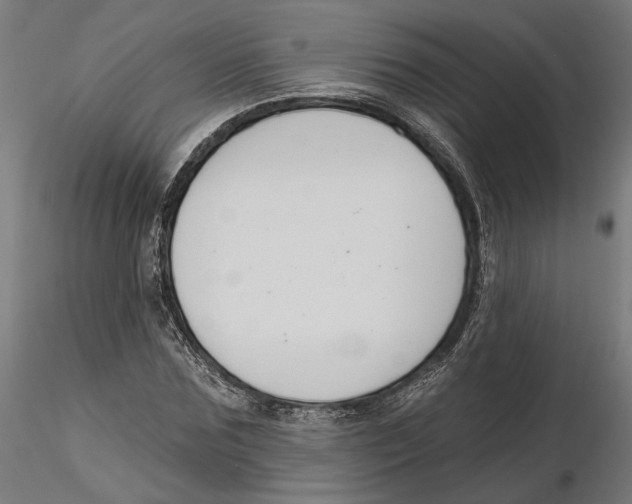 X0000116110875200912211630