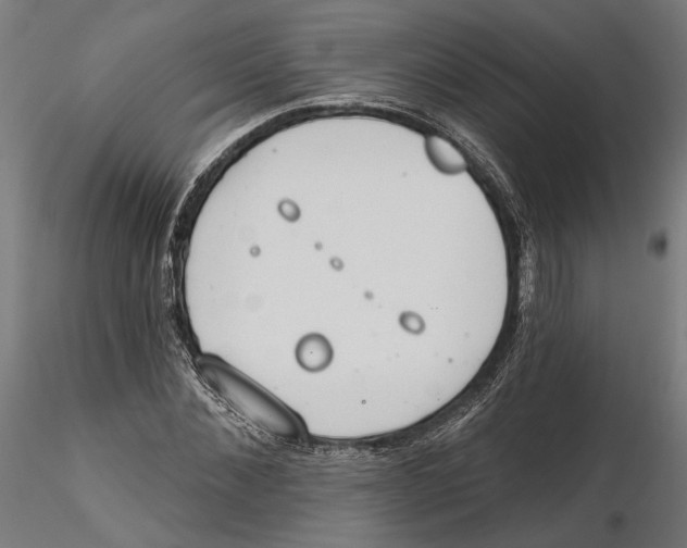 X0000116110876200912211630