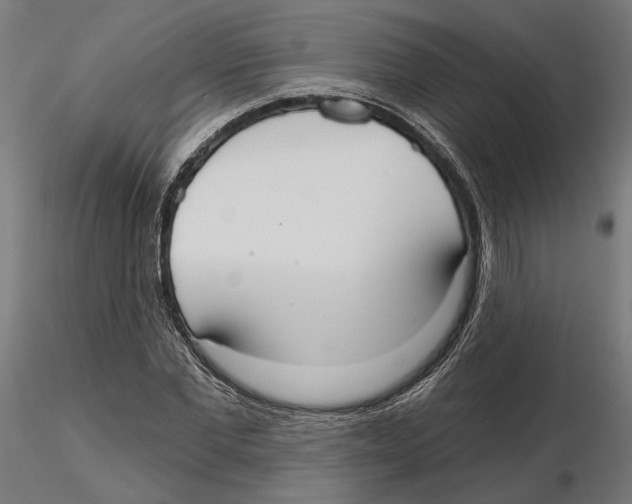 X0000116110877200912211630