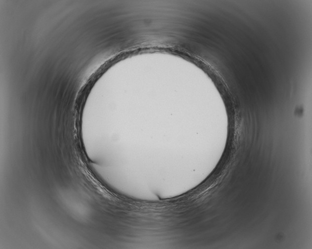 X0000116110878200912211630