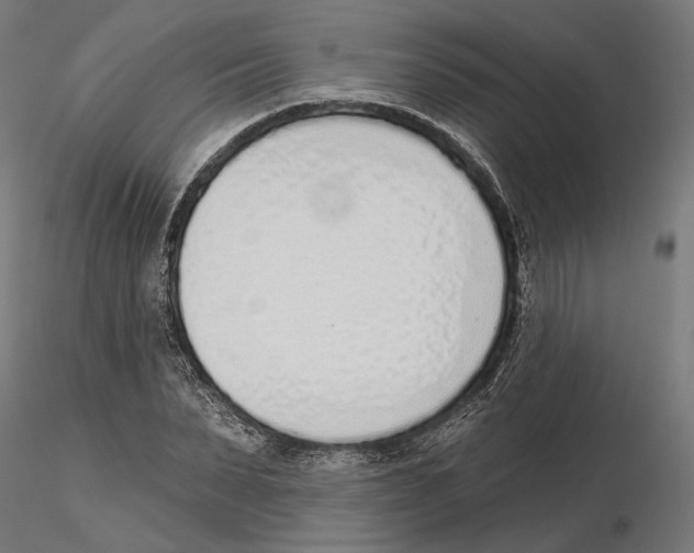 X0000116110879200912211630