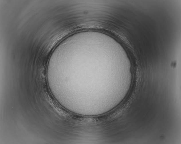 X0000116110881200912211630