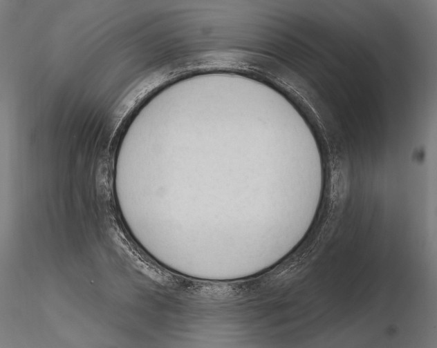 X0000116110882200912211630