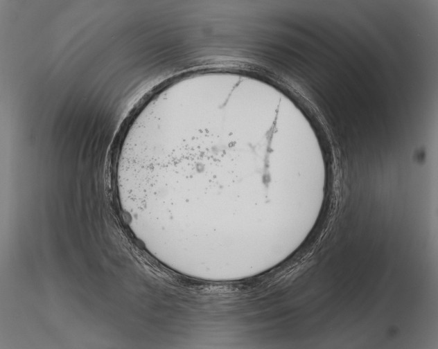X0000116110883200912211630