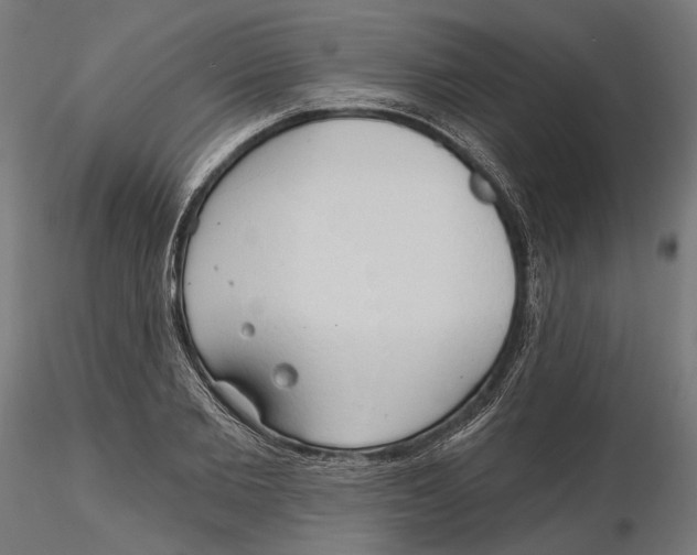 X0000116110885200912211630