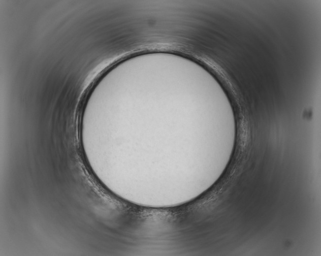 X0000116110886200912211630