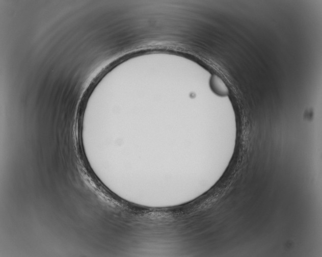 X0000116110888200912211630