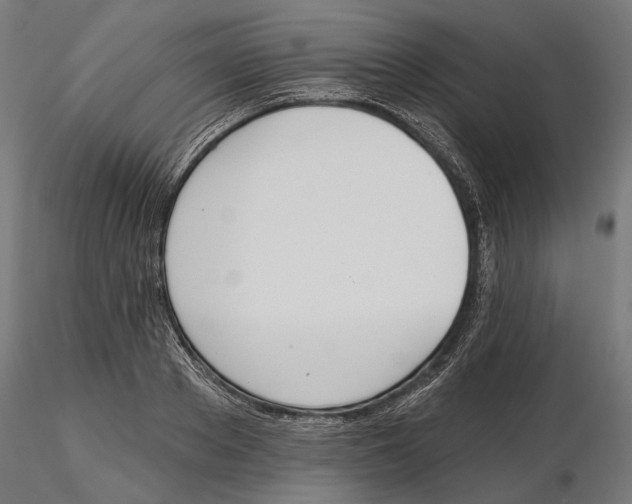 X0000116110889200912211630