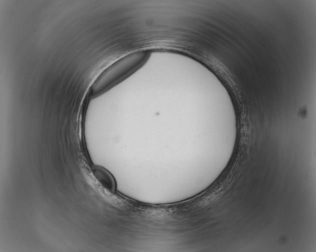 X0000116110892200912211630