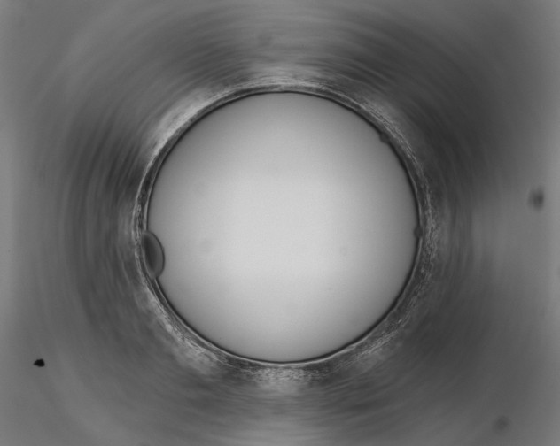X0000116110893200912211630