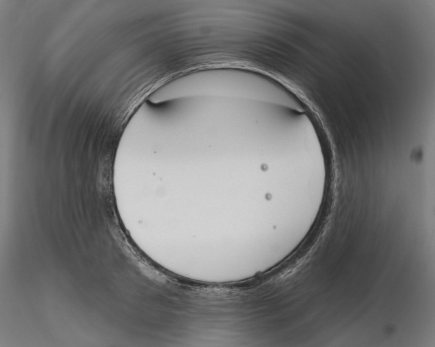 X0000116110897200912211630