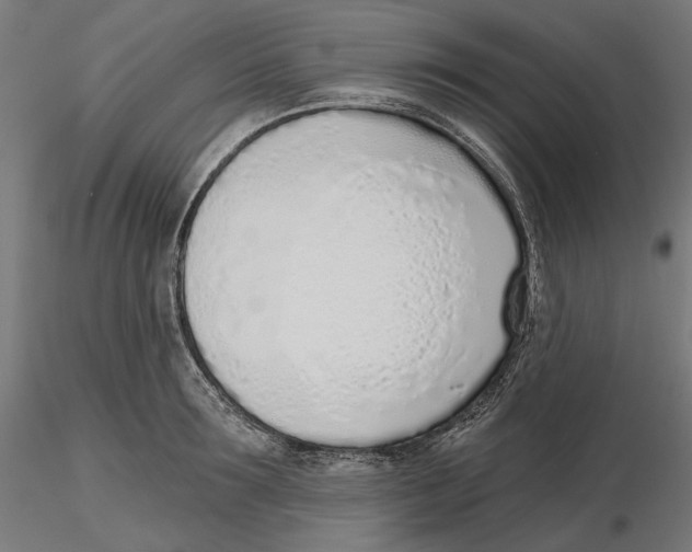 X0000116110899200912211630