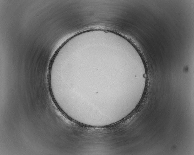 X0000116110902200912211630