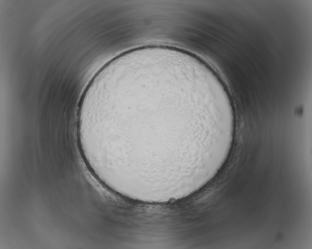 X0000116110903200912211630