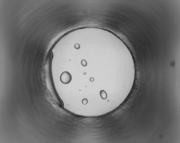 X0000116110904200912211630