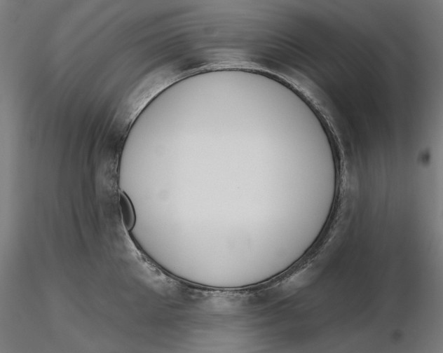 X0000116110905200912211630