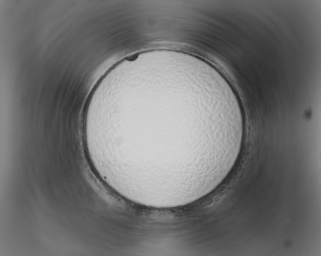 X0000116110907200912211630