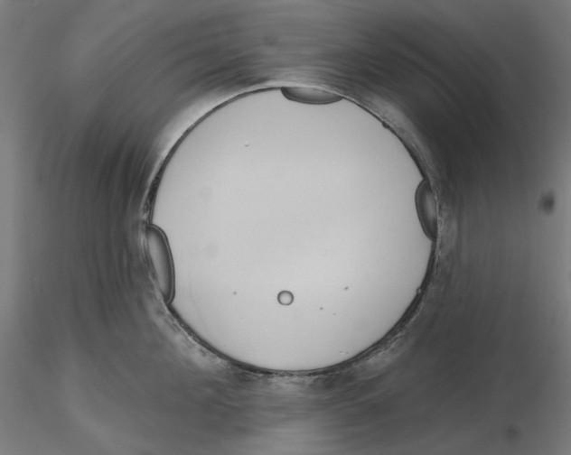 X0000116110908200912211630