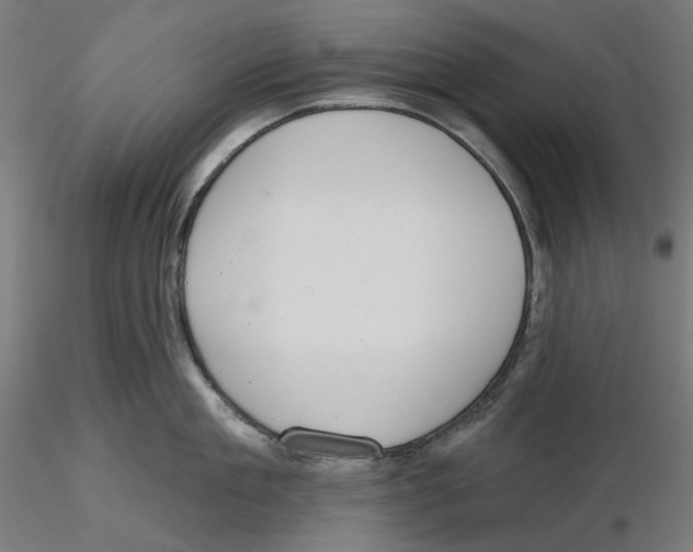 X0000116110909200912211630