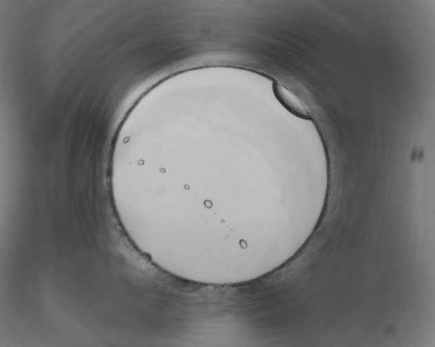 X0000116110912200912211630