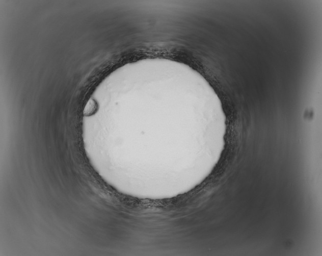 X0000116110913200912211629