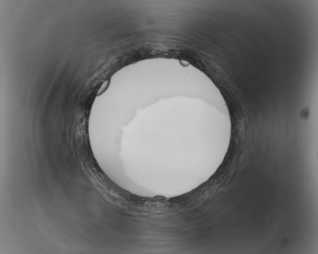 X0000116110914200912211629