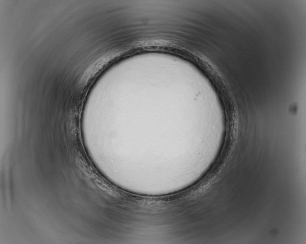 X0000116110921200912211629