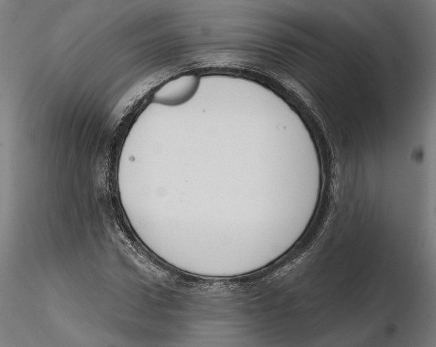 X0000116110922200912211629