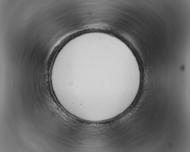 X0000116110923200912211629