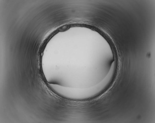 X0000116110925200912211629