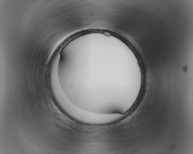 X0000116110926200912211629