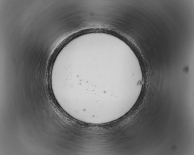 X0000116110927200912211629